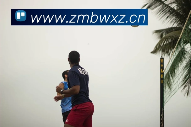 爱游戏ayx官方正版服务体系